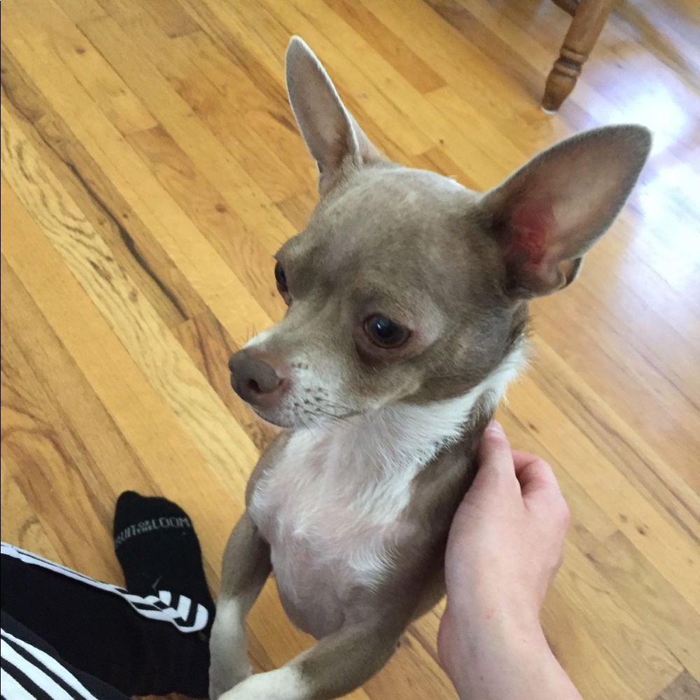 Meet your Posher, Madeline